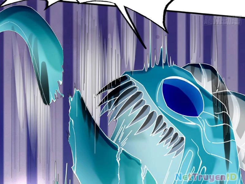 Ngủ Say Vạn Cổ: Xuất Thế Quét Ngang Chư Thiên Chapter 5 - Trang 2