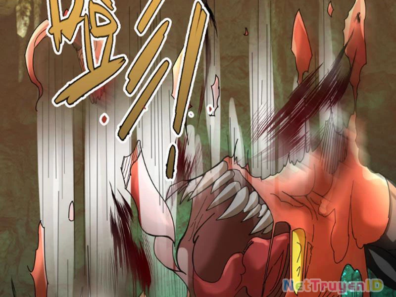 Ngủ Say Vạn Cổ: Xuất Thế Quét Ngang Chư Thiên Chapter 5 - Trang 2