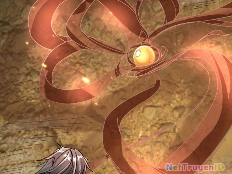 Ngủ Say Vạn Cổ: Xuất Thế Quét Ngang Chư Thiên Chapter 5 - Trang 2