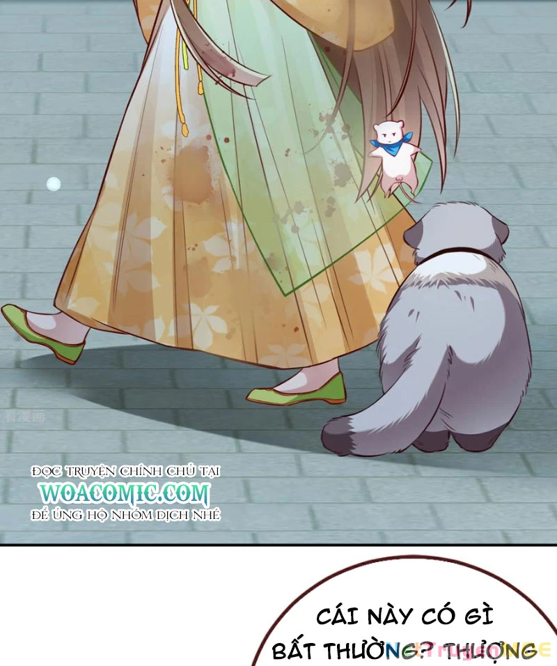 Vạn Tra Triêu Hoàng Chapter 801 - 11