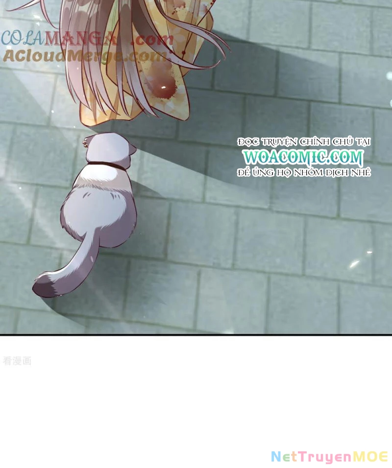 Vạn Tra Triêu Hoàng Chapter 801 - 16