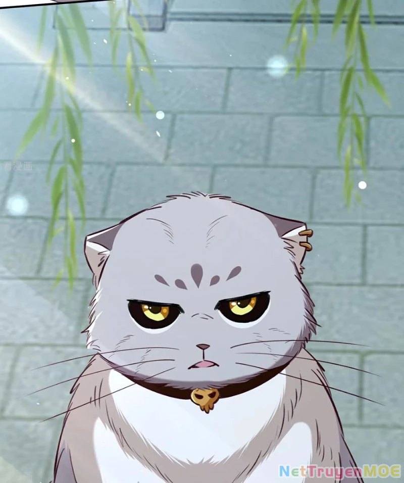 Vạn Tra Triêu Hoàng Chapter 801 - 19