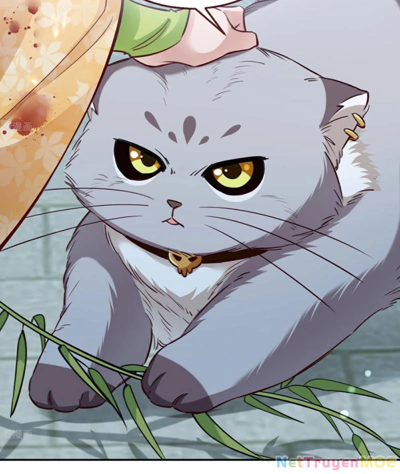 Vạn Tra Triêu Hoàng Chapter 801 - 32