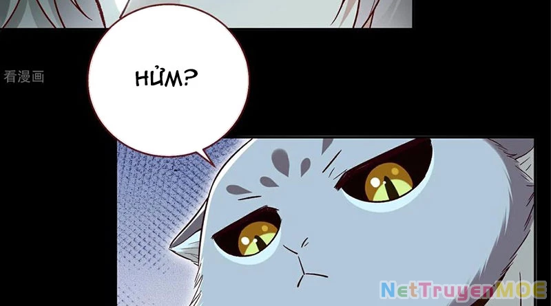 Vạn Tra Triêu Hoàng Chapter 804 - 52