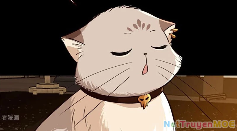 Vạn Tra Triêu Hoàng Chapter 804 - 150