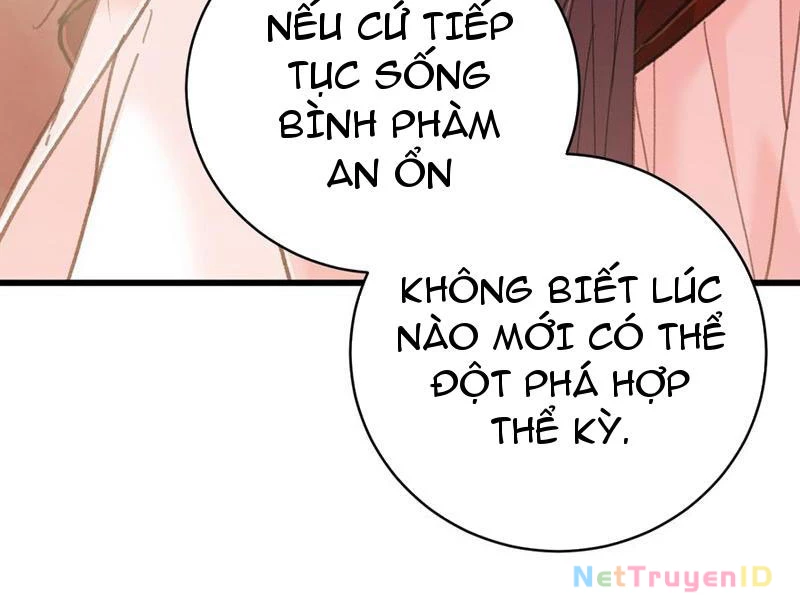 Đại Thừa Kỳ Mới Có Nghịch Tập Hệ Thống Chapter 55 - 32