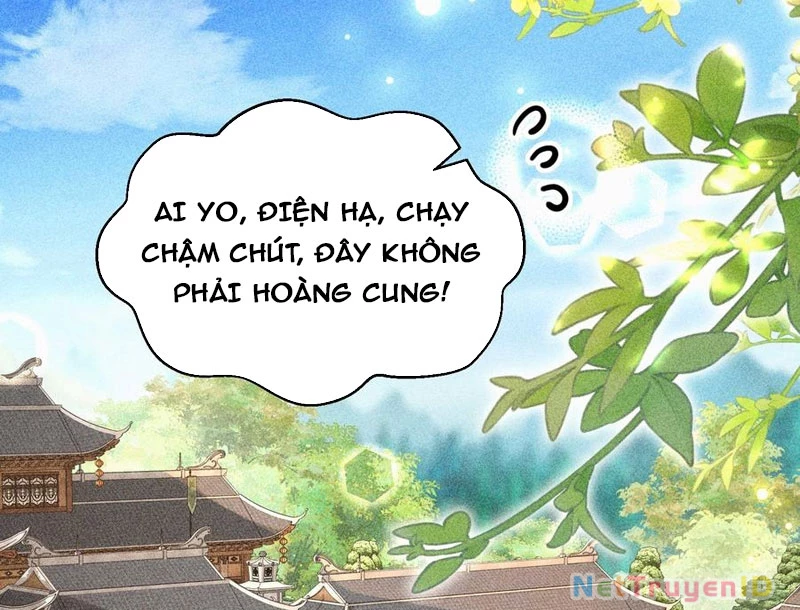 Ta Thực Sự Không Có Hứng Tu Tiên Chapter 51 - 4