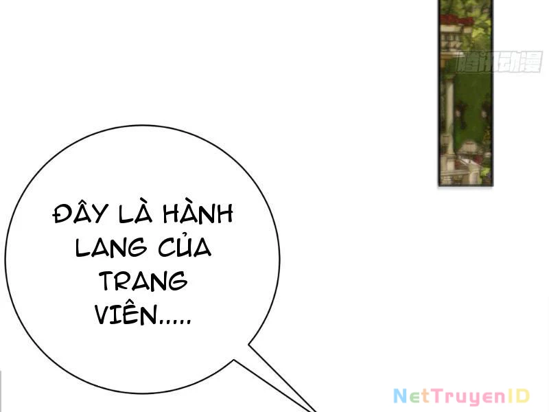 Vô Địch Bắt Đầu Từ Trúc Cơ Chapter 3 - Trang 2