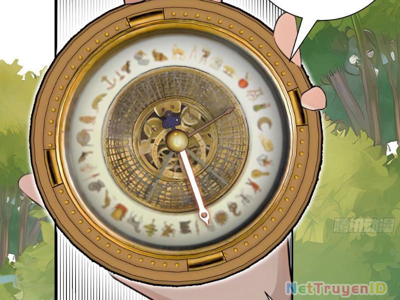 Vô Địch Bắt Đầu Từ Trúc Cơ Chapter 4 - Trang 2