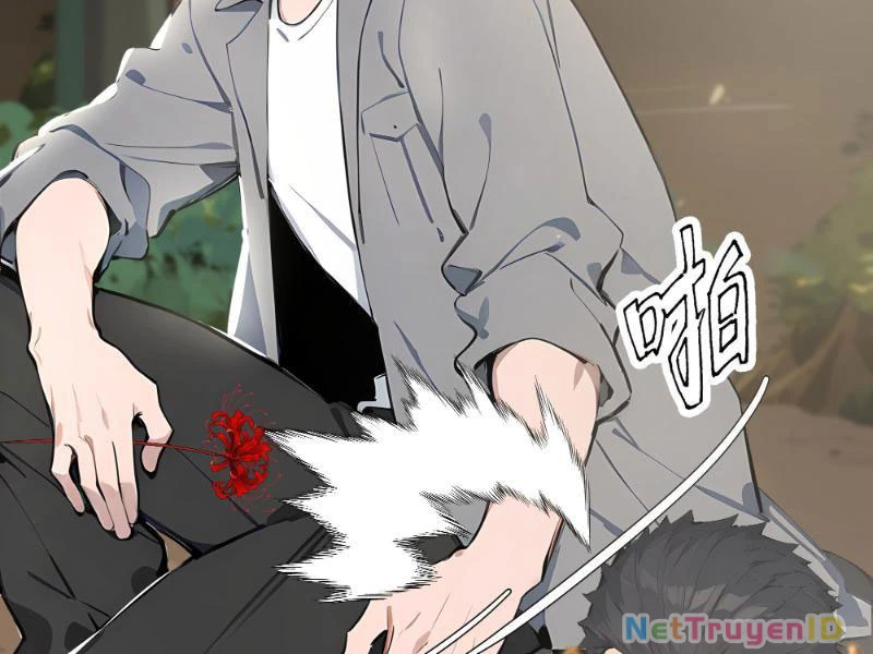 Vô Địch Bắt Đầu Từ Trúc Cơ Chapter 4 - Trang 2