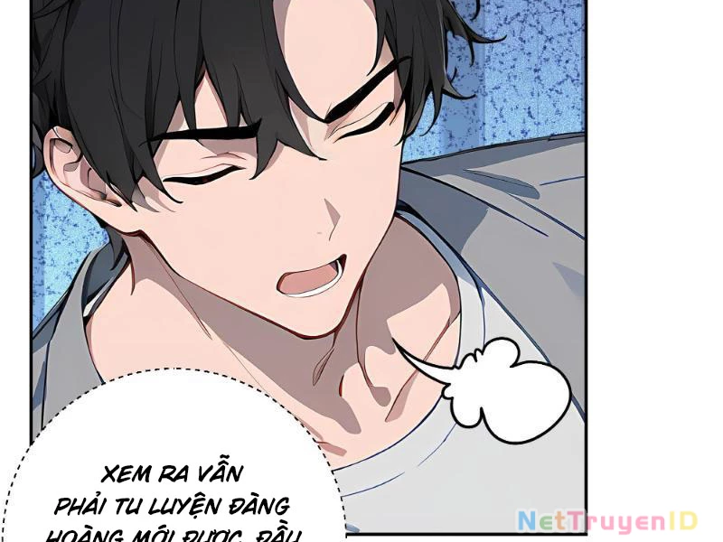 Vô Địch Bắt Đầu Từ Trúc Cơ Chapter 4 - Trang 2