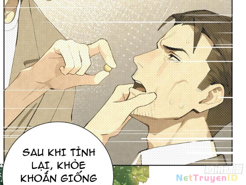 Vô Địch Bắt Đầu Từ Trúc Cơ Chapter 4 - Trang 2