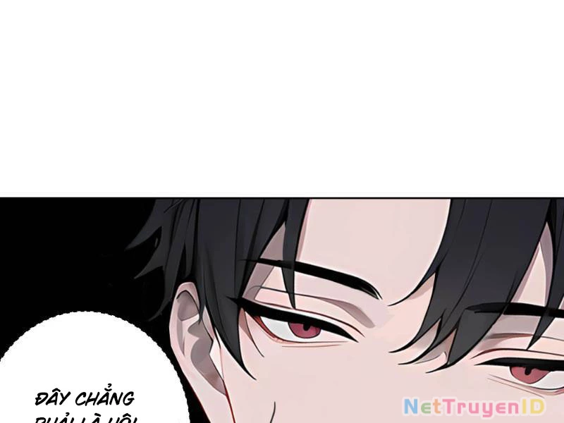 Vô Địch Bắt Đầu Từ Trúc Cơ Chapter 5 - Trang 2