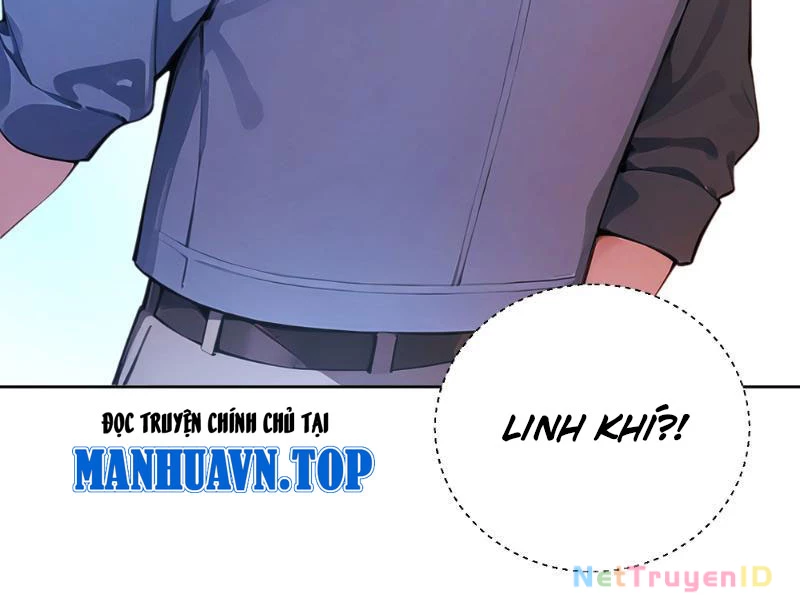 Vô Địch Bắt Đầu Từ Trúc Cơ Chapter 7 - Trang 2