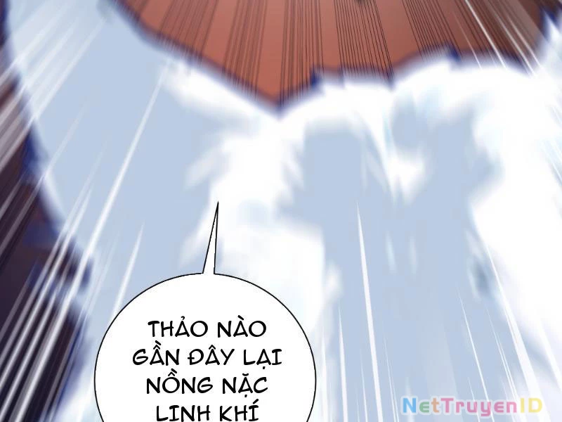 Vô Địch Bắt Đầu Từ Trúc Cơ Chapter 11 - Trang 2