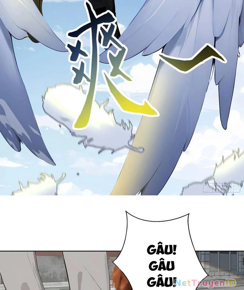 Vô Địch Bắt Đầu Từ Trúc Cơ Chapter 12 - Trang 2