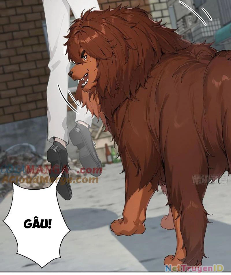 Vô Địch Bắt Đầu Từ Trúc Cơ Chapter 12 - Trang 2