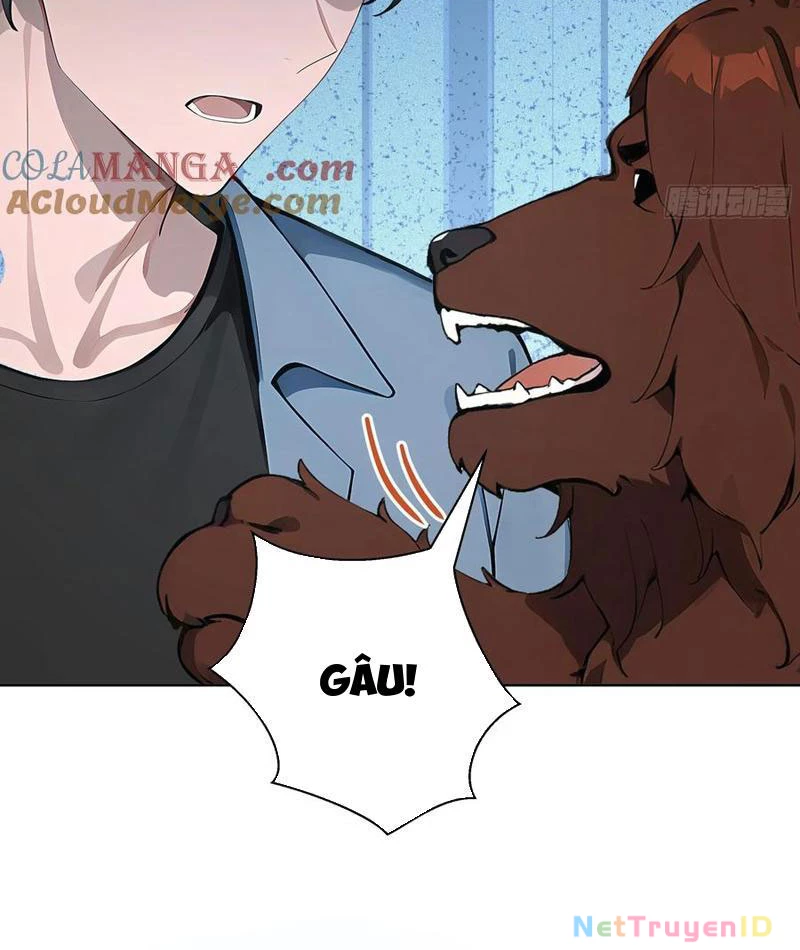Vô Địch Bắt Đầu Từ Trúc Cơ Chapter 13 - Trang 2