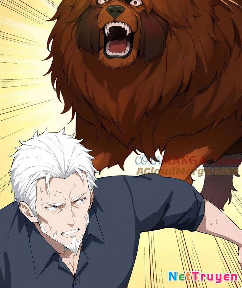 Vô Địch Bắt Đầu Từ Trúc Cơ Chapter 15 - Trang 2