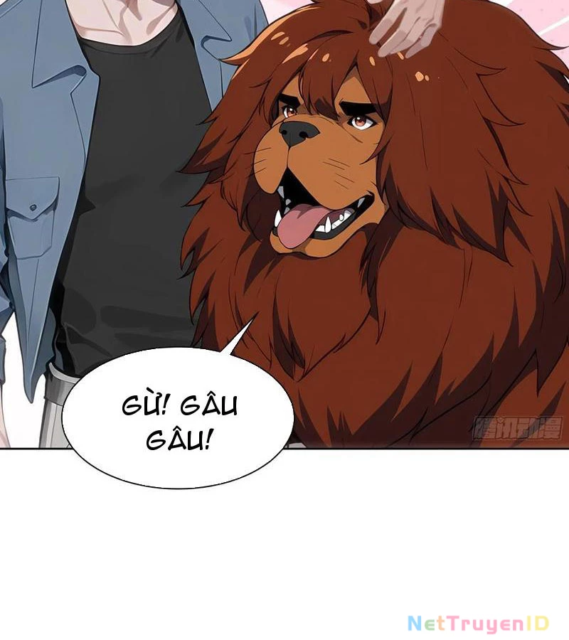 Vô Địch Bắt Đầu Từ Trúc Cơ Chapter 15 - Trang 2