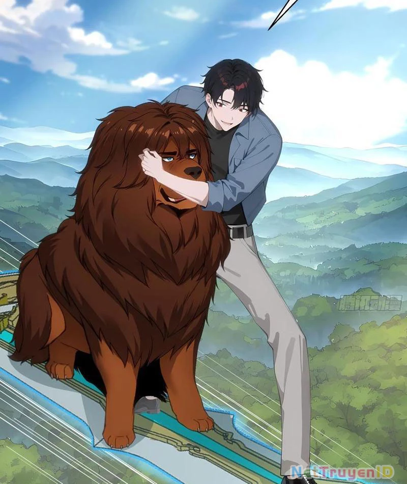 Vô Địch Bắt Đầu Từ Trúc Cơ Chapter 15 - Trang 2