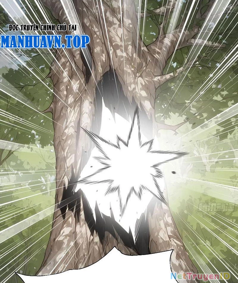 Vô Địch Bắt Đầu Từ Trúc Cơ Chapter 16 - Trang 2
