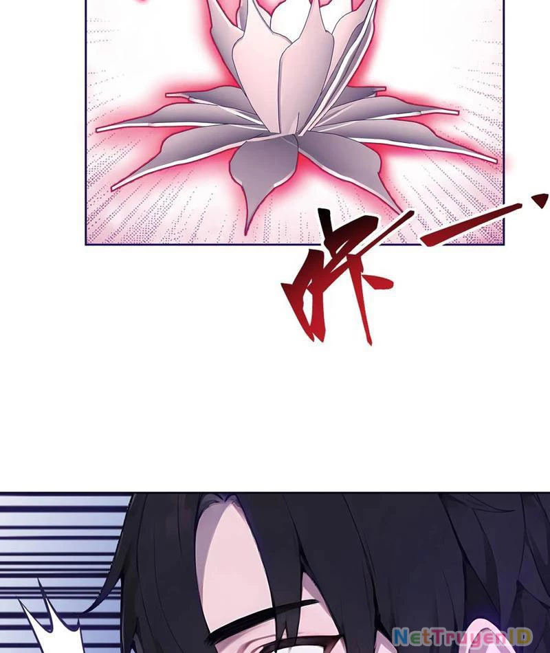 Vô Địch Bắt Đầu Từ Trúc Cơ Chapter 16 - Trang 2