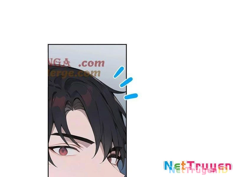 Vô Địch Bắt Đầu Từ Trúc Cơ Chapter 19 - Trang 2