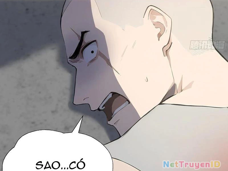 Vô Địch Bắt Đầu Từ Trúc Cơ Chapter 22 - Trang 2
