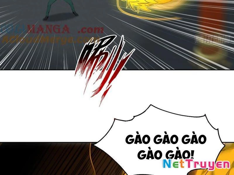 Vô Địch Bắt Đầu Từ Trúc Cơ Chapter 26 - Trang 2