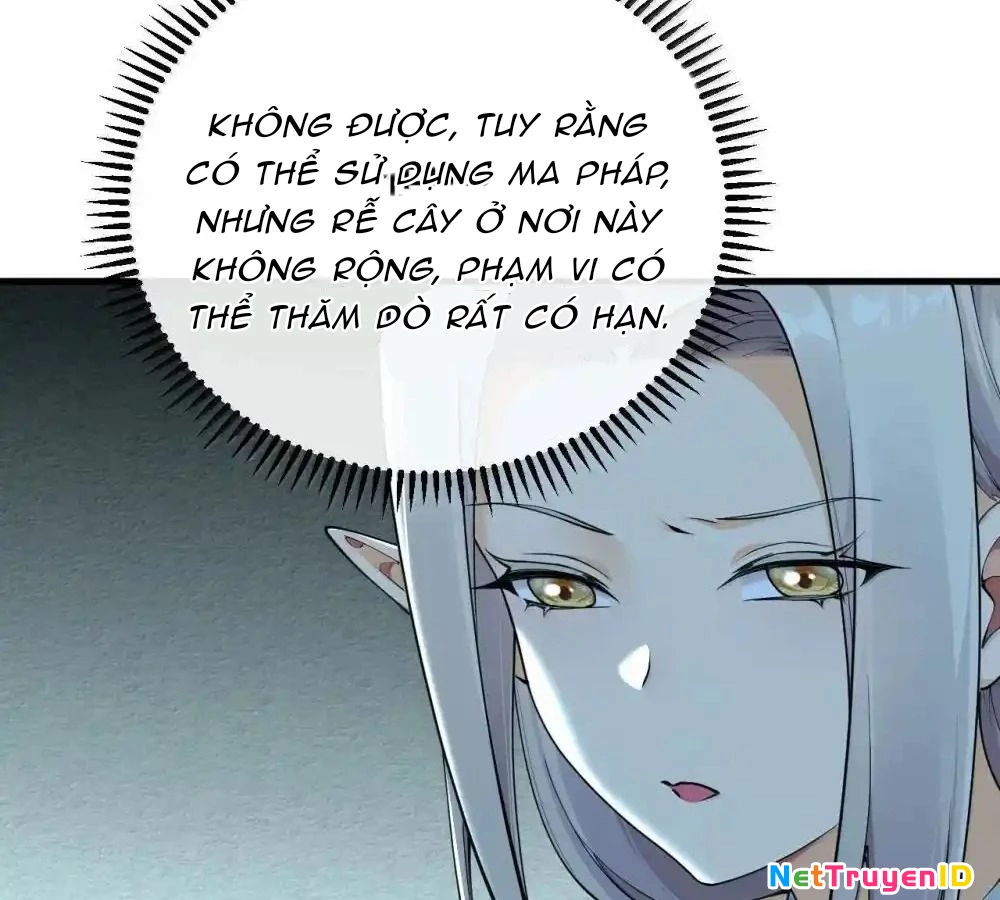 Thánh Nữ, Xin Hãy Dừng Ngay Những Trò Quái Đản Của Cô Đi!! Chapter 108 - Trang 2