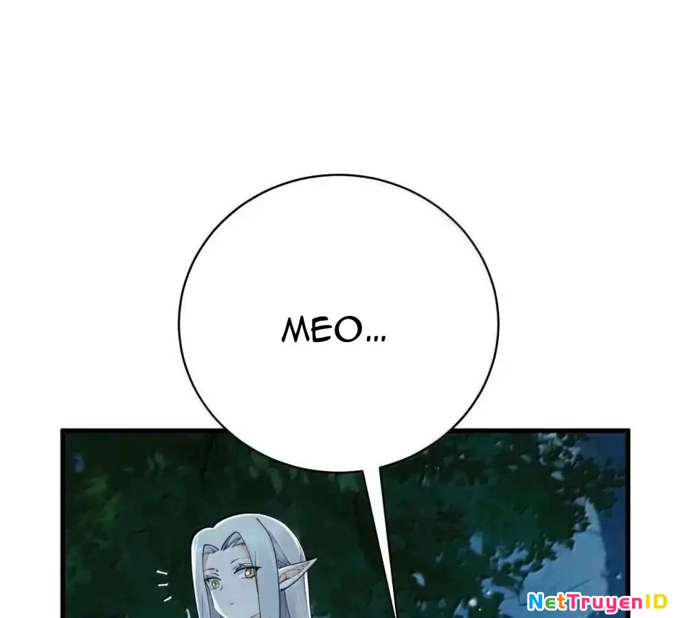 Thánh Nữ, Xin Hãy Dừng Ngay Những Trò Quái Đản Của Cô Đi!! Chapter 108 - Trang 2