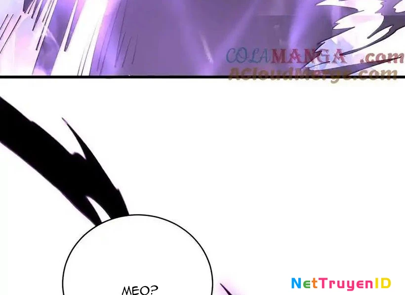 Thánh Nữ, Xin Hãy Dừng Ngay Những Trò Quái Đản Của Cô Đi!! Chapter 109 - Trang 2