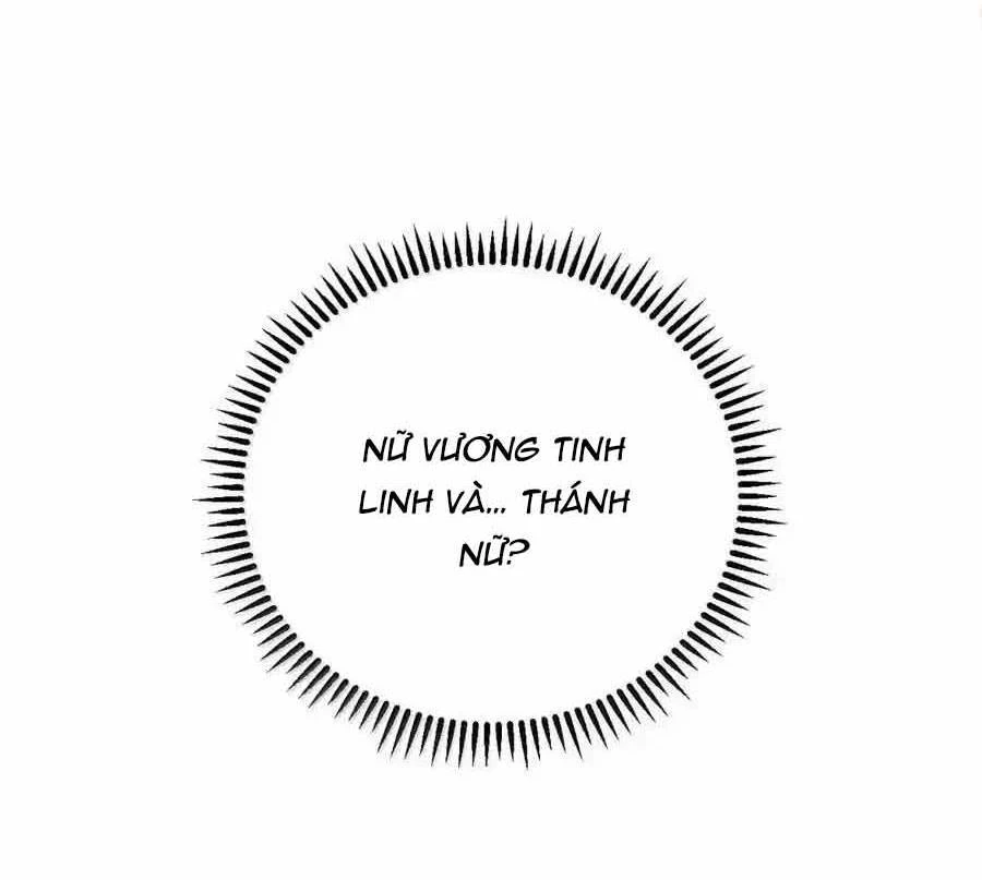Thánh Nữ, Xin Hãy Dừng Ngay Những Trò Quái Đản Của Cô Đi!! Chapter 110 - Trang 2
