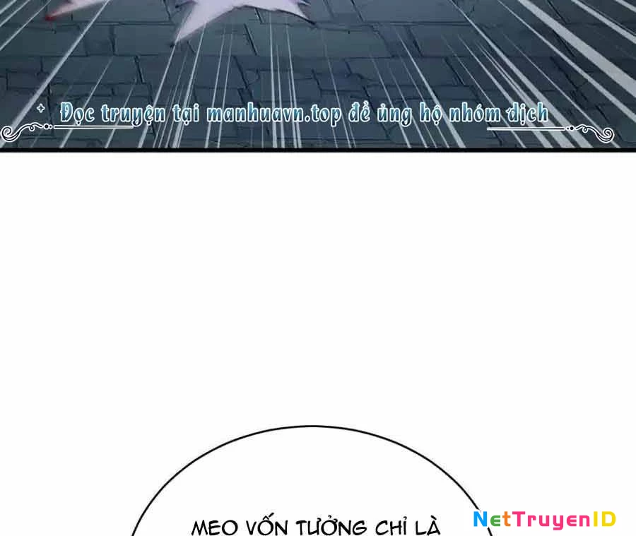 Thánh Nữ, Xin Hãy Dừng Ngay Những Trò Quái Đản Của Cô Đi!! Chapter 110 - Trang 2
