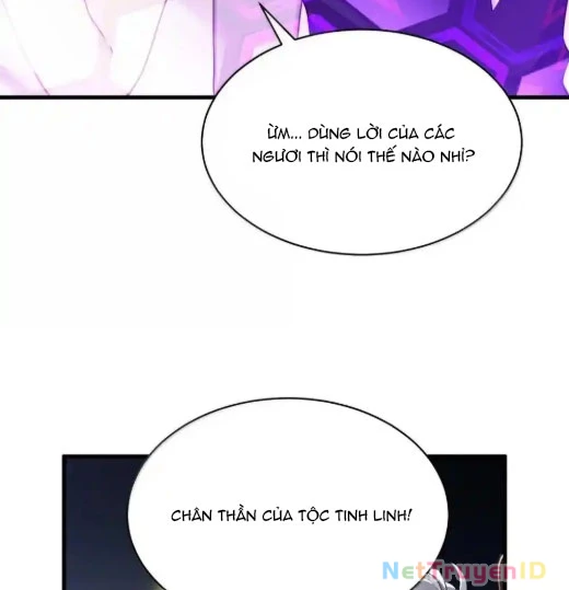 Thánh Nữ, Xin Hãy Dừng Ngay Những Trò Quái Đản Của Cô Đi!! Chapter 112 - Trang 2