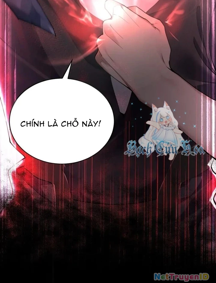 Thánh Nữ, Xin Hãy Dừng Ngay Những Trò Quái Đản Của Cô Đi!! Chapter 115 - Trang 2