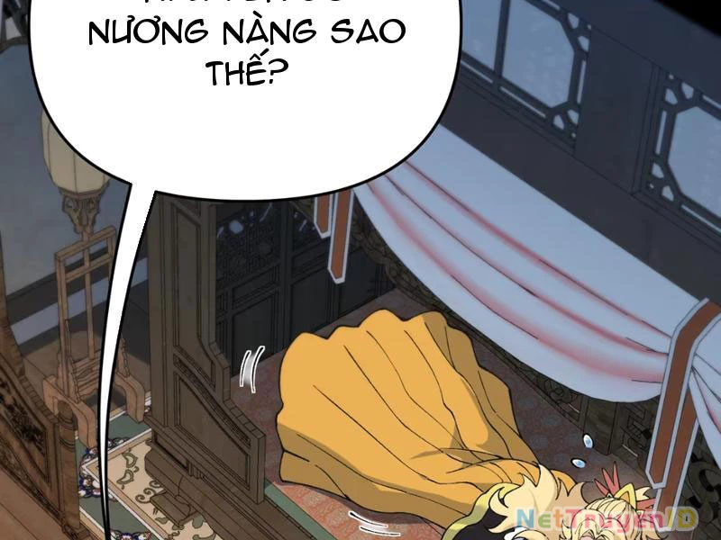 Phụng Chỉ Xuất Quỹ Chapter 6 - Trang 2