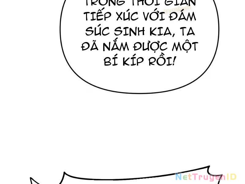 Phụng Chỉ Xuất Quỹ Chapter 7 - Trang 2