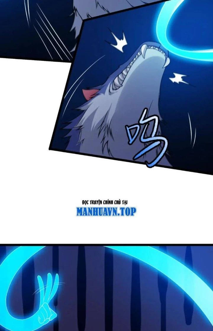 Ta Chỉ Muốn Bị Các Vị Đánh Chết Chapter 117 - 13