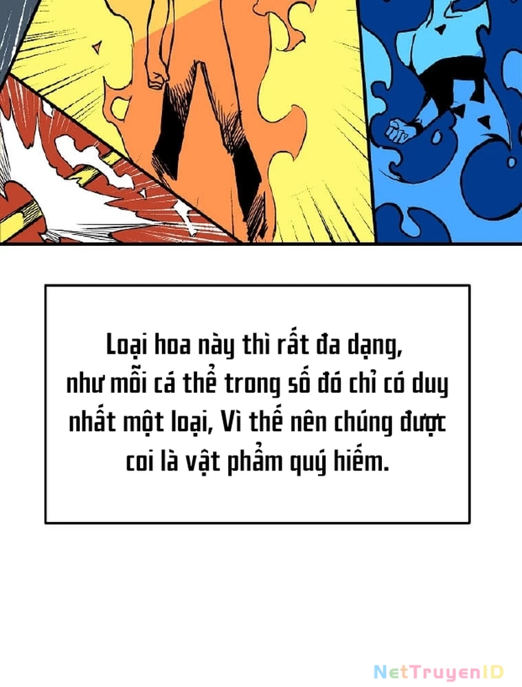 Tôi Đã Đạt Đến Cấp Độ Tối Đa Và Quay Trở Lại Chapter 6 - 10