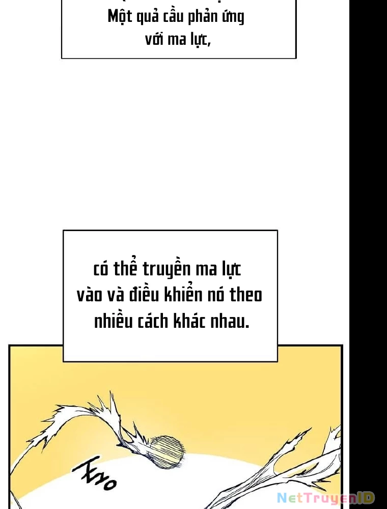 Tôi Đã Đạt Đến Cấp Độ Tối Đa Và Quay Trở Lại Chapter 12 - 13