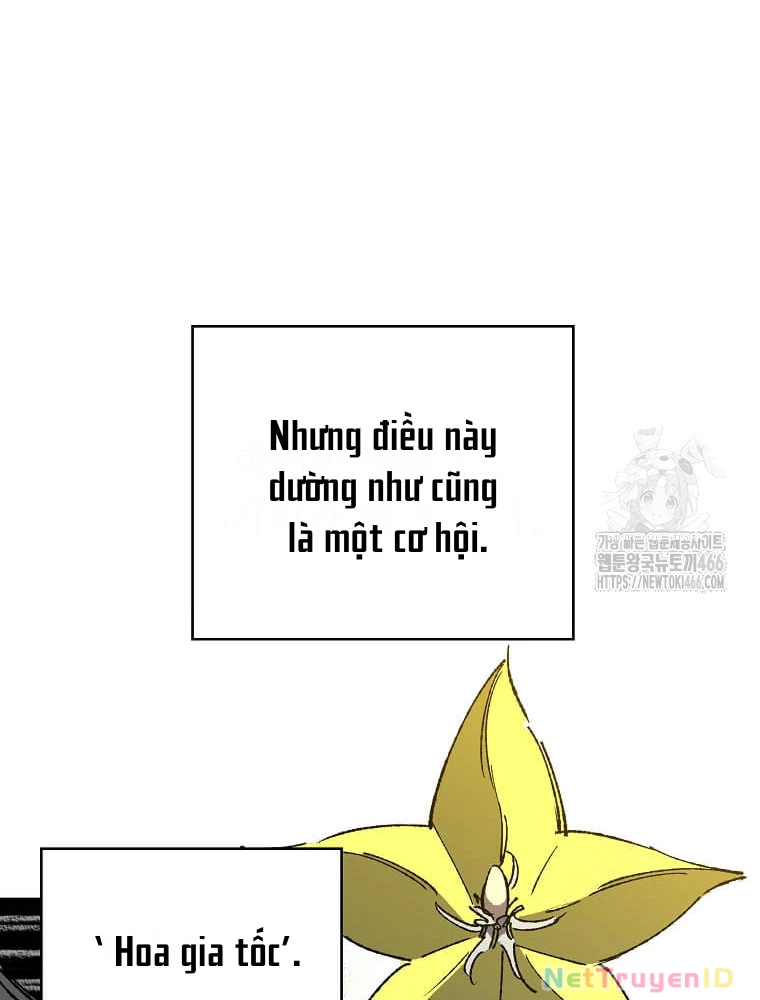 Tôi Đã Đạt Đến Cấp Độ Tối Đa Và Quay Trở Lại Chapter 24 - 85