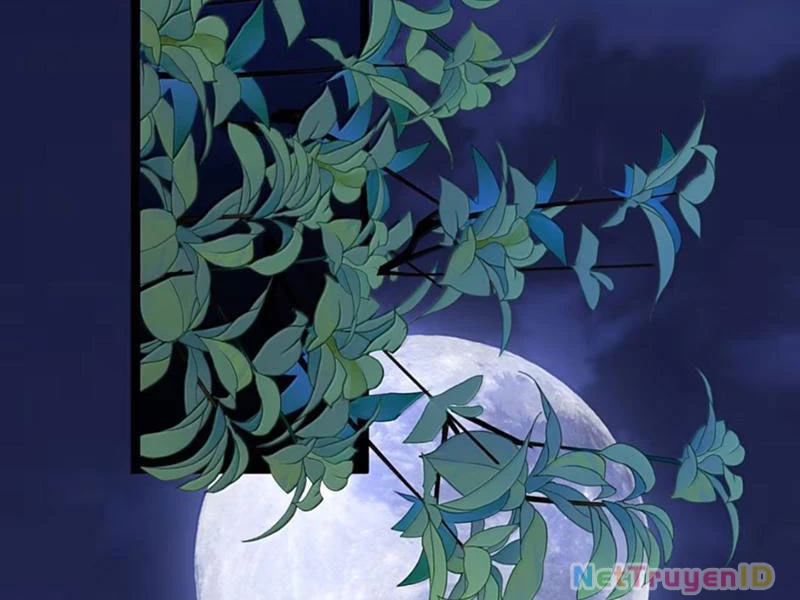 Phá thân của nữ Hoàng Đế Chapter 35 - Trang 2