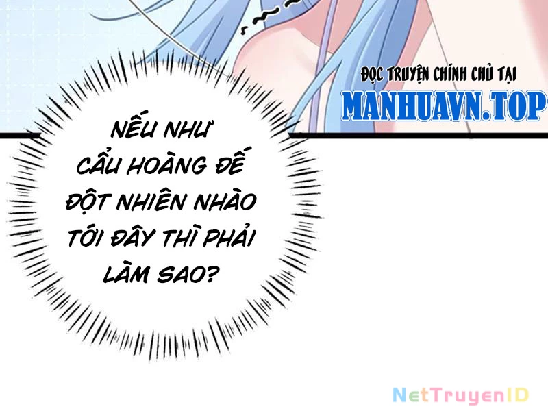 Phá thân của nữ Hoàng Đế Chapter 35 - 30