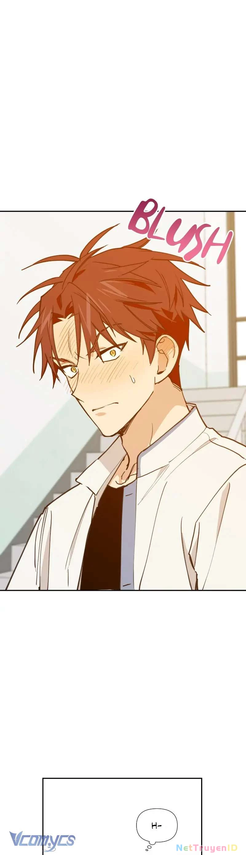Điều Ước Sao Băng Chapter 33 - 12