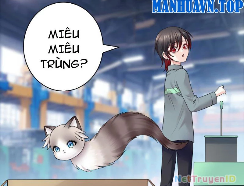 Ta biến thành miêu nương Chapter 1 - Trang 2