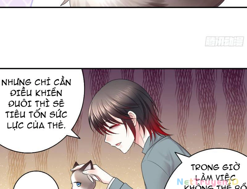 Ta biến thành miêu nương Chapter 1 - Trang 2