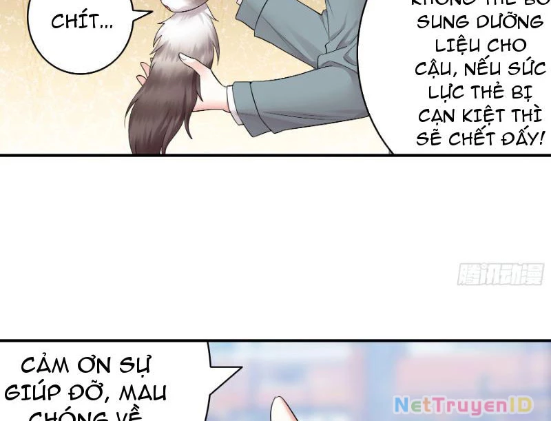 Ta biến thành miêu nương Chapter 1 - Trang 2