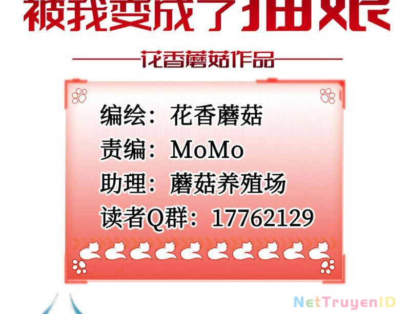 Ta biến thành miêu nương Chapter 1 - Trang 2